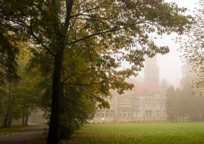 Z lewej strony drzewo, za nim we mgle widać pałac w Nakle Śląskim.
