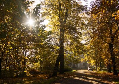 Słońce przedzierające się przez żółto-zielone jesienne liście drzew. Parkowa alejka pokryta suchymi liśćmi. W tle mury pałacu i zaparkowany na alejce samochód.
